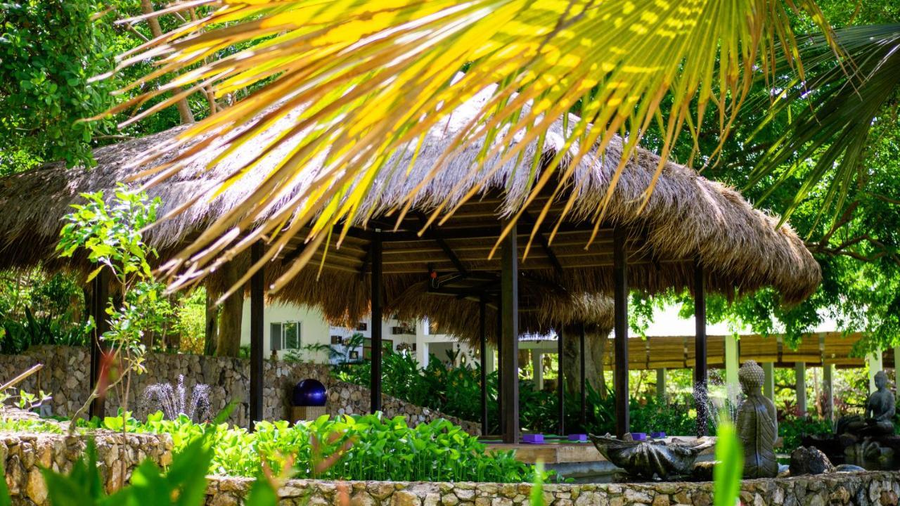 The Dream Beach Resort تايتاي المظهر الخارجي الصورة